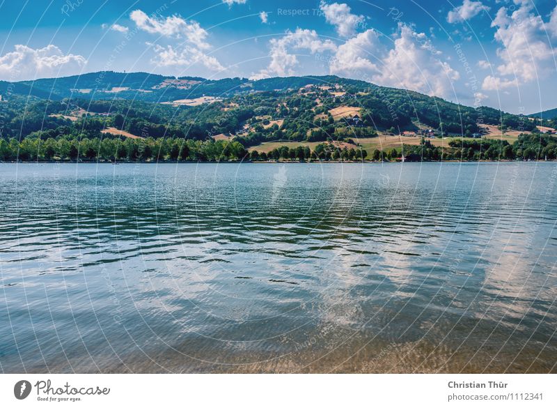 Stubenbergsee Erholung ruhig Meditation Ferien & Urlaub & Reisen Tourismus Ausflug Sommer Sommerurlaub Sonne Sonnenbad Strand Berge u. Gebirge Schwimmen & Baden