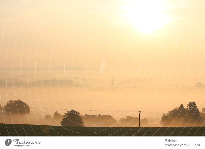 MorgenRöte harmonisch Wohlgefühl Zufriedenheit ruhig Meditation Ferien & Urlaub & Reisen Ausflug Camping Haus Natur Landschaft Urelemente Himmel Horizont Sonne