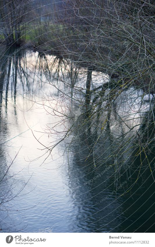 Die Elzbach Umwelt Natur Wasser Pflanze Baum Bach hell blau himmelblau Wolken orange Wellen Spiegelbild Ast ruhig friedlich Idylle ländlich fließen Bewegung