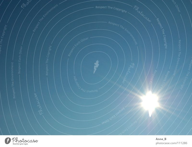 Hell strahlt die Sonne Natur Himmel Wolkenloser Himmel Stern Schönes Wetter glänzend blau weiß schön ruhig strahlend Stern (Symbol) hell-blau