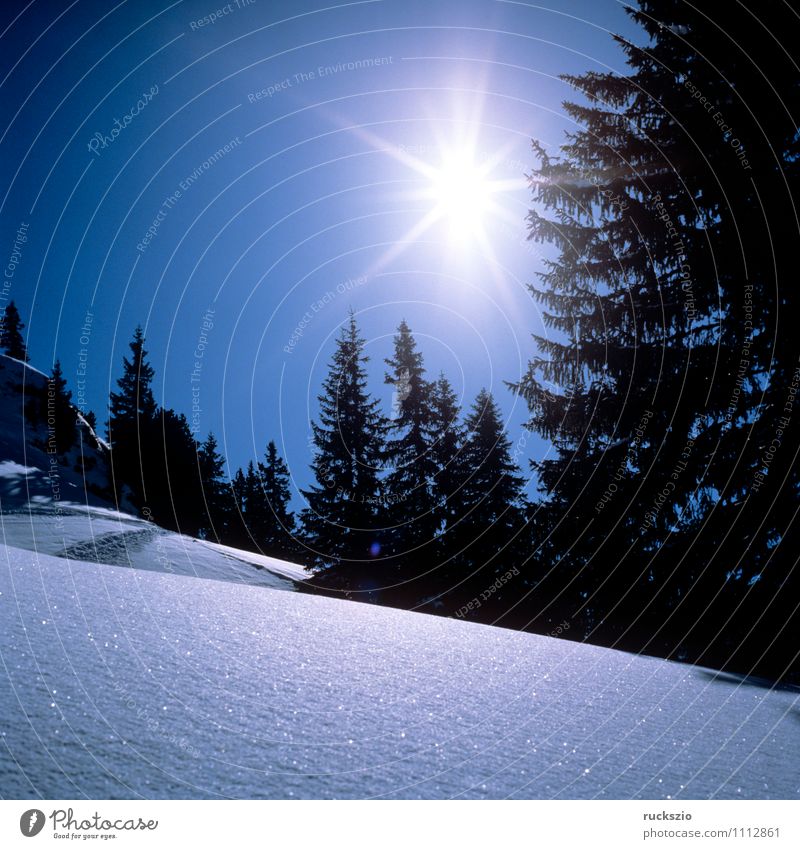 Wintersonne, Landschaft, Arlberg Sonne Berge u. Gebirge Alpen kalt blau Berg Arlberg Blauer Himmel Eis Eindruck Kalte Winterlandschaft Österreich Raureif Schnee