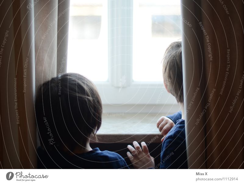 Wann kommt Papa? Mensch Kind Kleinkind Junge Geschwister Bruder Familie & Verwandtschaft Kindheit Kopf 2 1-3 Jahre 3-8 Jahre Fenster Blick warten Gefühle