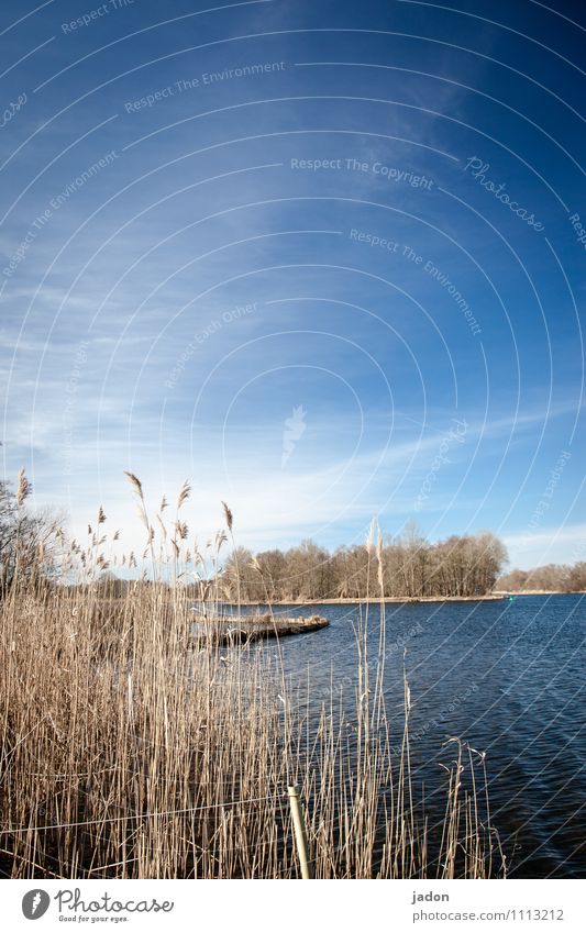 seeblick. Strand Insel Umwelt Natur Landschaft Pflanze Wasser Himmel Wolken Horizont Gras Seeufer Flussufer maritim blau ruhig Einsamkeit Idylle Perspektive