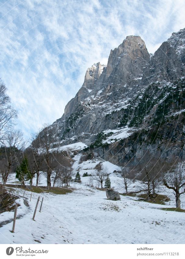 Himmelsstaub II Umwelt Natur Landschaft Wolken Klimawandel Schönes Wetter Eis Frost Schnee Baum Felsen Alpen Berge u. Gebirge Gipfel Schneebedeckte Gipfel