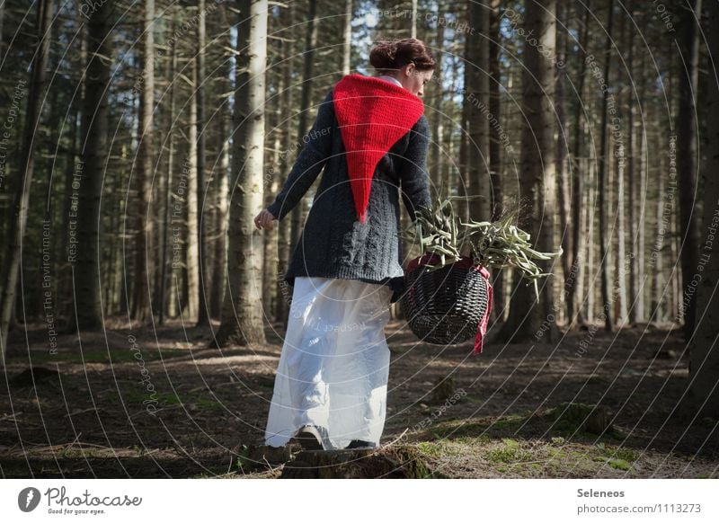 Sammelsurium Mensch Frau Erwachsene 1 Umwelt Natur Frühling Herbst Schönes Wetter Baum Wald Mütze Korb Korbflechten natürlich ansammeln Farbfoto Außenaufnahme