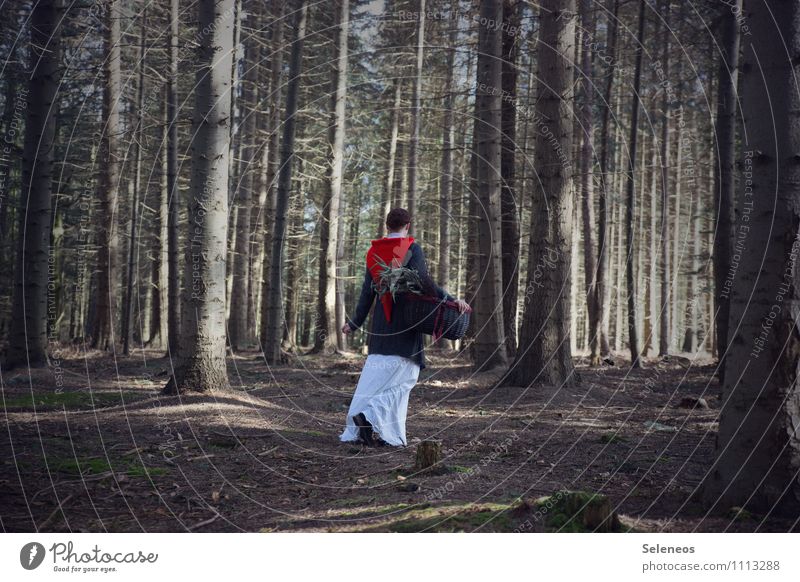 Ich geh dann mal Pilze sammeln Mensch Frau Erwachsene 1 Umwelt Natur Herbst Wald Kleid Mantel Mütze Nikolausmütze Korb natürlich Spaziergang ansammeln Farbfoto