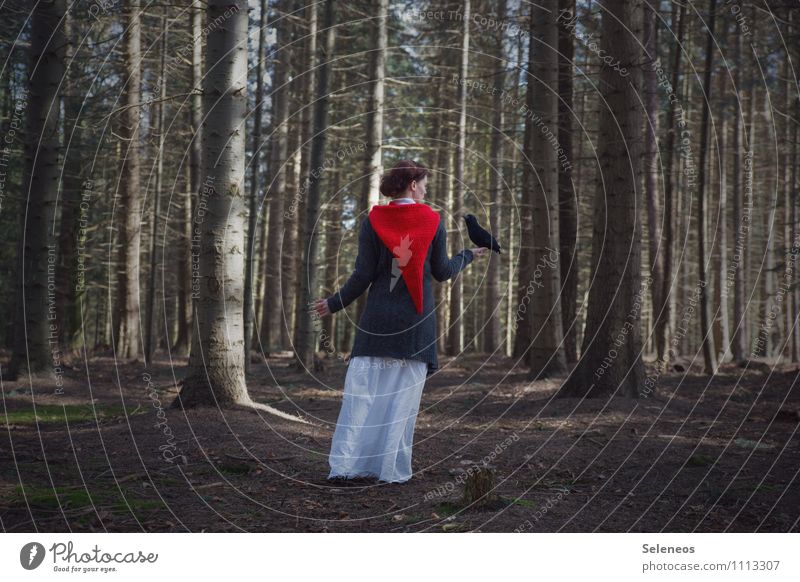 Rotmütze Mensch feminin Frau Erwachsene 1 Umwelt Natur Frühling Herbst Baum Wald Mütze Vogel Tier frei natürlich Farbfoto Außenaufnahme Ganzkörperaufnahme