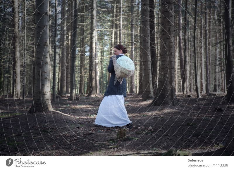 Diebesgut Abenteuer Mensch feminin Frau Erwachsene 1 Umwelt Natur Schönes Wetter Baum Wald natürlich Vogeleier Farbfoto Außenaufnahme Ganzkörperaufnahme