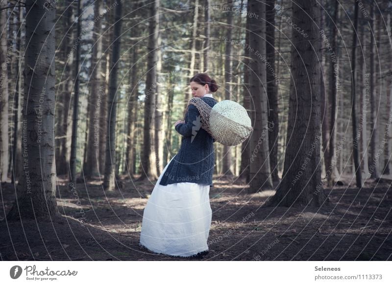 Eierdieb Abenteuer Mensch feminin Frau Erwachsene 1 Umwelt Natur schlechtes Wetter Baum Wald Stimmung Farbfoto Außenaufnahme Ganzkörperaufnahme Rückansicht