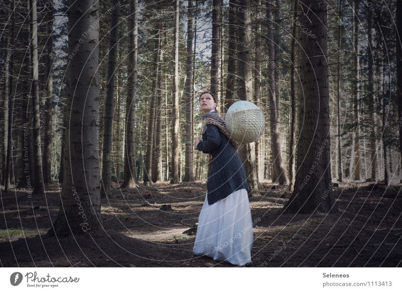 Kuckuck Mensch feminin Frau Erwachsene 1 Umwelt Natur Wald Vogeleier Netz Strickjacke Waldboden trist Vorsicht Farbfoto Außenaufnahme Ganzkörperaufnahme