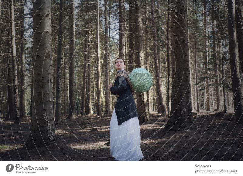 Ostervorsorge Ostern Mensch feminin Frau Erwachsene 1 Umwelt Natur Landschaft Baum Wald Rock Netz beobachten Vogeleier Farbfoto Außenaufnahme Tag