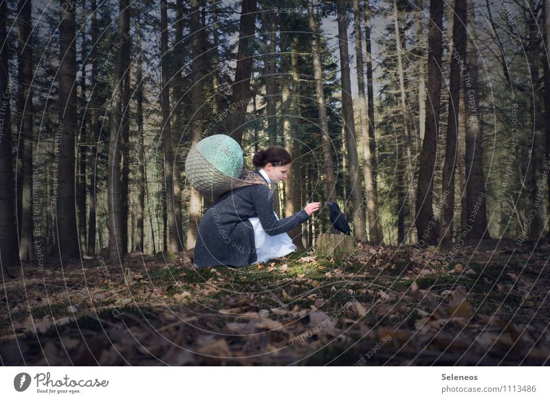 Krähenflüsterin Mensch feminin Frau Erwachsene 1 Umwelt Natur Wald Tier Vogel Rabenvögel hocken Warmherzigkeit Sympathie Freundschaft Zusammensein Tierliebe