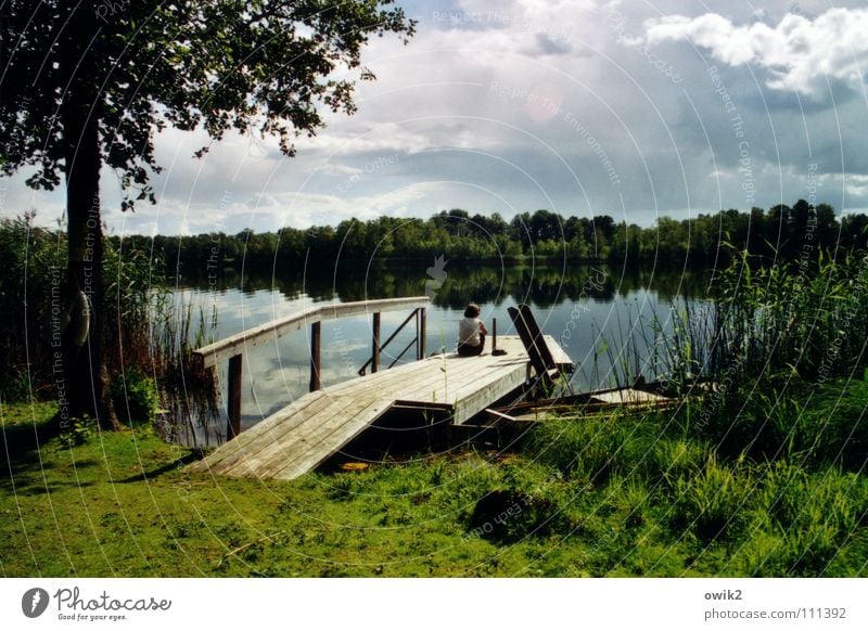 Adagio Erholung ruhig Ferne Sommer Junge Frau Jugendliche 1 Mensch Umwelt Natur Landschaft Pflanze Wasser Wolken Horizont Klima Schönes Wetter Gras Seeufer