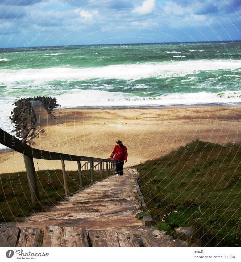 heute ist kein badewetter gehen steigend Klettern aufsteigen Horizont Meer Strand Wind Naturgewalt Holz festhalten Halt grün Wolken schlechtes Wetter verweht