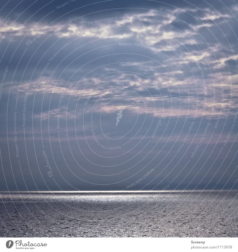 Silberglanz Natur Landschaft Wasser Himmel Wolken Sommer See Bodensee glänzend maritim Gelassenheit geduldig ruhig Horizont Ferne Farbfoto Außenaufnahme