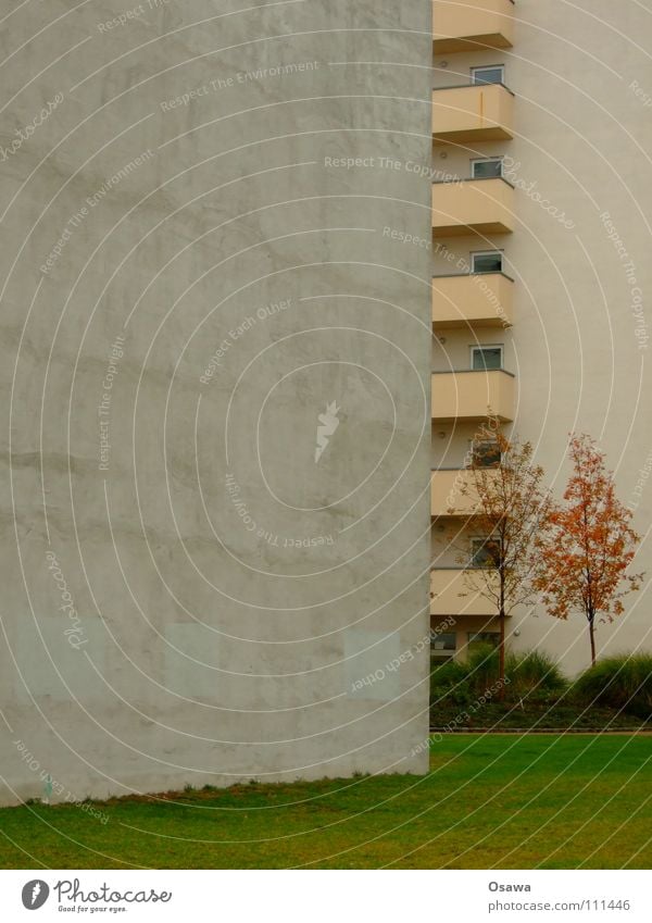 Ausweg aus der Spaßgesellschaft Gebäude Haus Wohnung Balkon Wand Mauer grau Beton Baum grün Wiese Gras Erholungsgebiet Herbst Winter Gedankenarmut Trauer