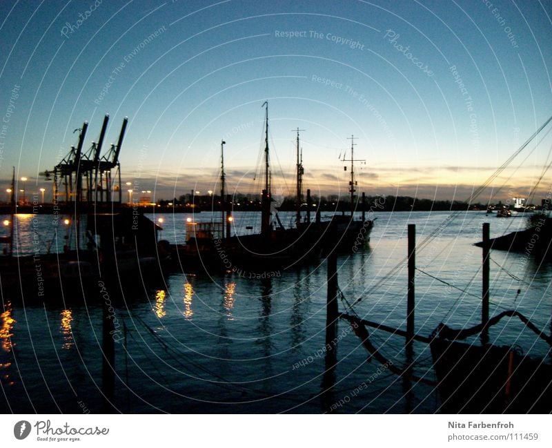 Hafenmärchen Wasserfahrzeug schwarz Strand Winter Abend Blauer Himmel Hamburg blau Container Segel Strommast Licht