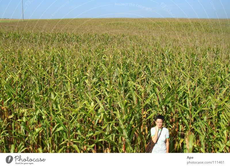 Out in the green Feld nah grün Frau Horizont Einsamkeit Unendlichkeit Strukturen & Formen Sommer Tasche klein Trauer Denken Kleid Vertrauen Ferne Himmel blau