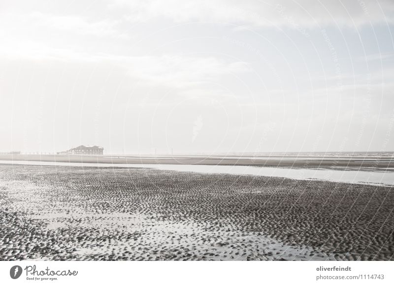 St. Peter Ording 2 Ferien & Urlaub & Reisen Ausflug Abenteuer Ferne Freiheit Sonne Strand Meer Umwelt Natur Landschaft Sand Wasser Himmel Wolken Horizont