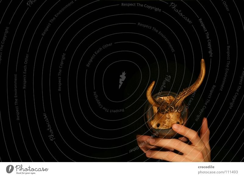 wolpertinger ll Hirsche Horn Hand grell dunkel frontal gefährlich Finger Tarnung Trauer Verzweiflung Angst Schutz Mund Sturmhaube Auge bedrohlich getarnt Jagd