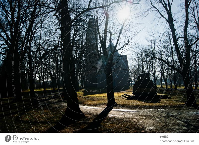 Kirchplatz Umwelt Natur Wolkenloser Himmel Sonne Baum Gras Park Falkenberg Brandenburg Deutschland Kirche Bauwerk Gebäude Wege & Pfade leuchten groß Hoffnung