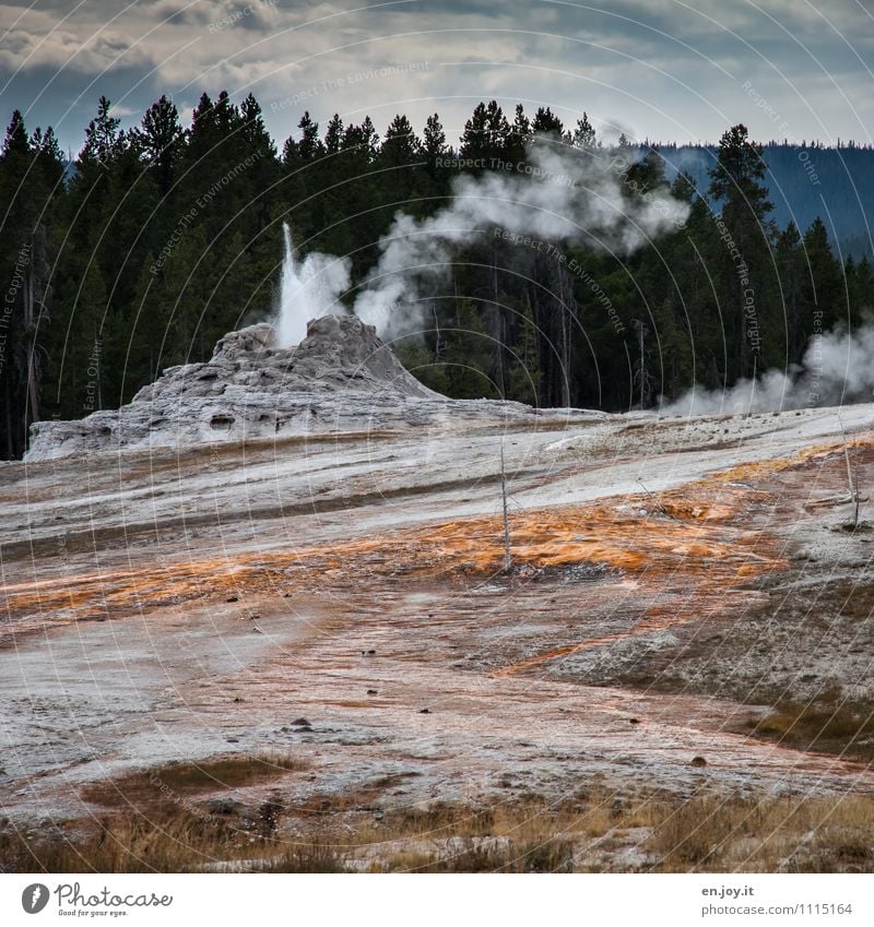 Druck ablassen Ferien & Urlaub & Reisen Tourismus Abenteuer Umwelt Natur Landschaft Urelemente Wolken Klima Klimawandel Wald Vulkan Heisse Quellen Geysir