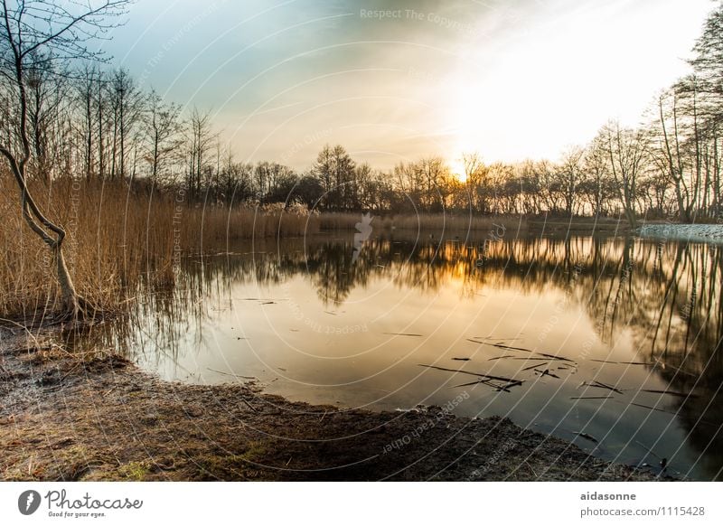 Mühlenteich Landschaft Wasser Himmel Nachthimmel Sonnenaufgang Sonnenuntergang Schönes Wetter Seeufer Teich Gefühle Zufriedenheit Romantik friedlich