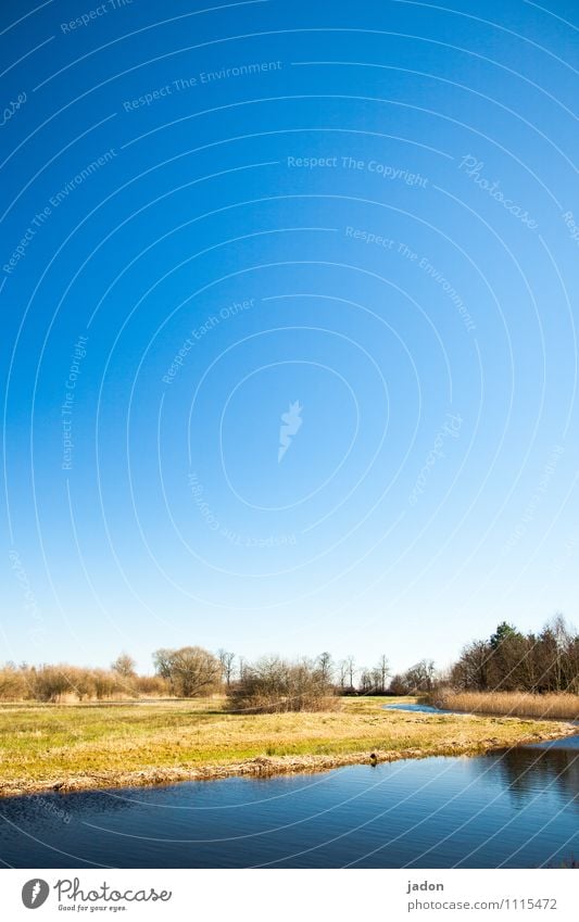 ufergrundstück. elegant ruhig Insel Garten Umwelt Natur Landschaft Wasser Himmel Schönes Wetter Pflanze Gras Sträucher Wiese Feld Küste Seeufer Flussufer Strand