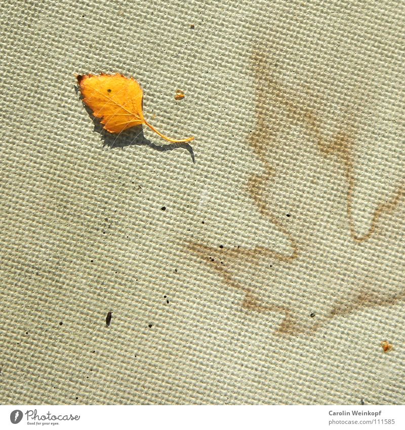 Sein und Schein II Herbst Blatt Beton September Oktober November Dezember Muster Spermien Symbole & Metaphern Jahreszeiten Zeit Schatten Quadrat Abrdruck