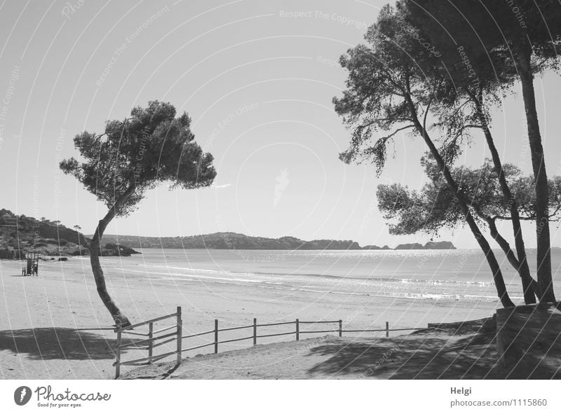 einsamer Strand... Ferien & Urlaub & Reisen Tourismus Freiheit Meer Umwelt Natur Landschaft Pflanze Sand Wasser Wolkenloser Himmel Frühling Schönes Wetter Baum