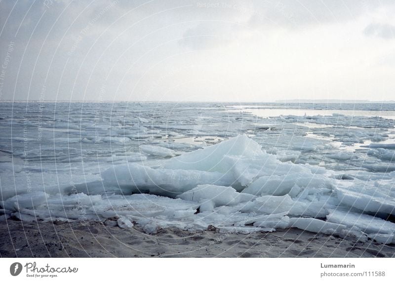 Stummer Strand ruhig Meer Winter Schnee Sand Wasser Himmel Horizont Klima Klimawandel Wetter Eis Frost Küste Ostsee frieren Traurigkeit warten kalt Spitze trist