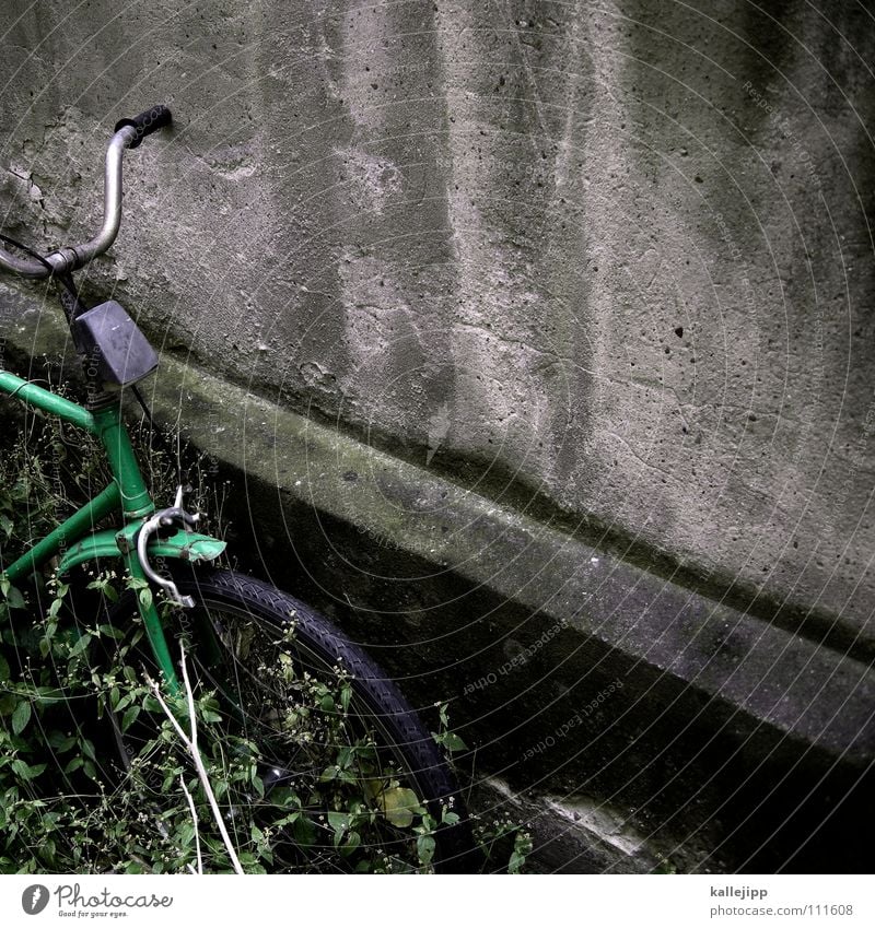 grün hat vorfahrt Fahrrad Oldtimer Rad Gummi Ständer Mauer Rücklicht Hinterhof Kotflügel Felge Speichen Chrom Gras Schlauch Mantel Lampe Vergänglichkeit prifiel