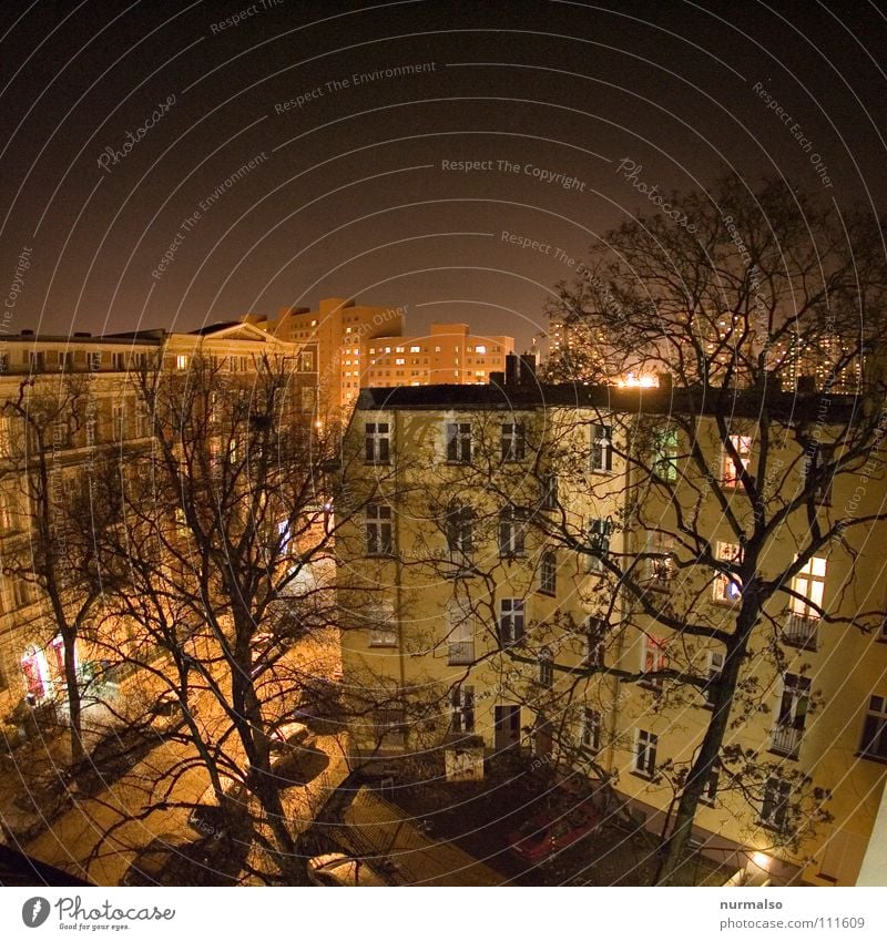 Zentrum bei Nacht Mitte Stadt Potsdam Haus Stadthaus Etage Dach Baum Winter Lichtstimmung Stimmung Wohnung Latex Smog Mieter Fenster Beleuchtung Fermentation