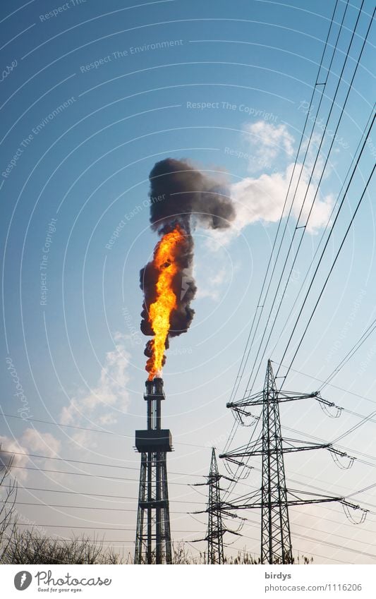 Störfall das vierte Industrie Feuer Wolkenloser Himmel Schönes Wetter Industrieanlage Turm Schornstein Abgas authentisch bedrohlich gigantisch heiß hoch Angst