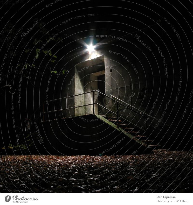 Blair Witch Bunker Lampe Herbst Baum Blatt Park Tor Mauer Wand Treppe Tür gruselig Einsamkeit Angst Gemäuer Bremen unheimlich Höhle Schrecken erschrecken