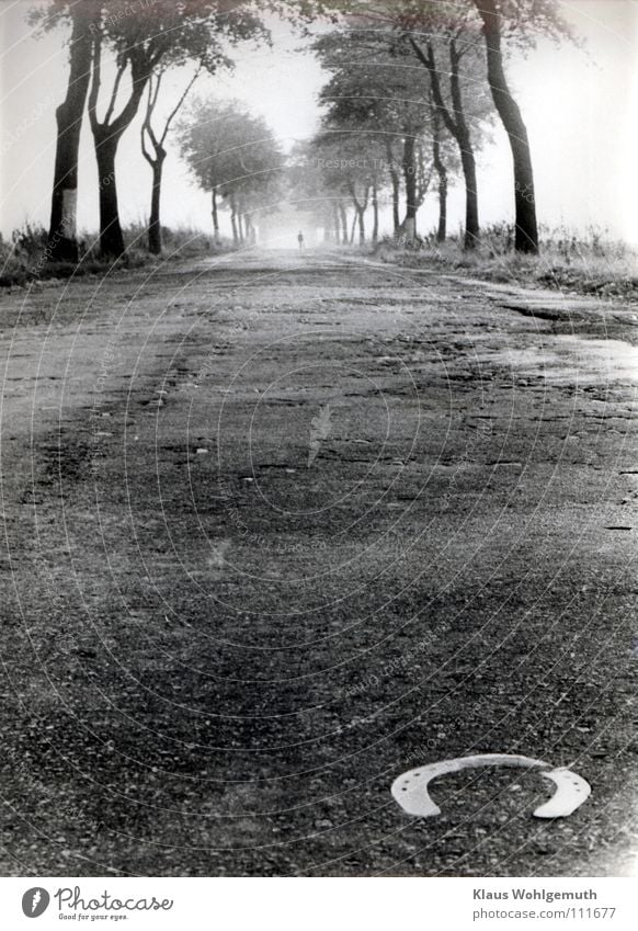 Alte Landstraße mit schlechtem Asphalt wird von Bäumen bestanden ein Hufeisen im Vordergrund . In der Ferne verschwindest ein Menschliche Gestalt im Dunst der Ferne.