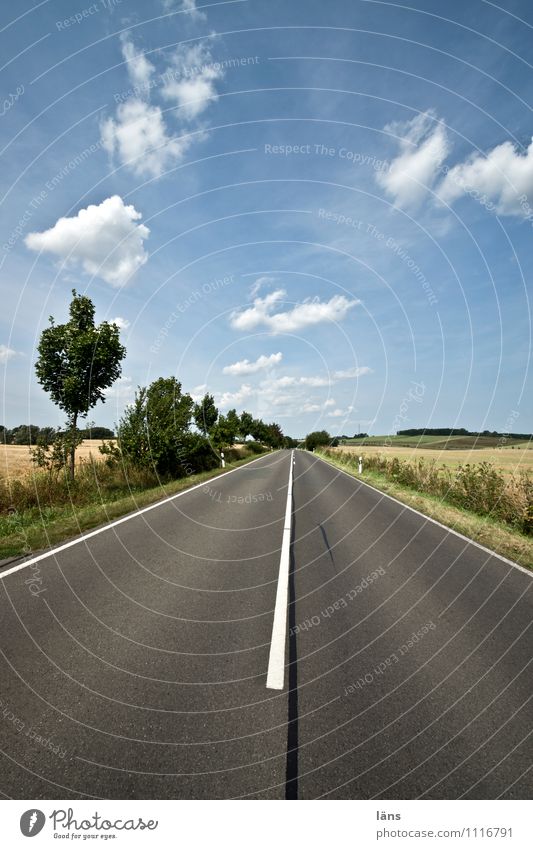 geradeaus Landschaft Himmel Wolken Sommer Schönes Wetter Baum Feld Verkehr Verkehrswege Straße Wege & Pfade Linie Erfolg Unendlichkeit entdecken