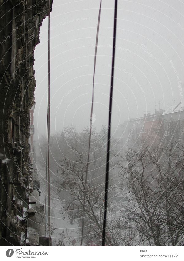 berlinwinter Stadt Winter Architektur Berlin alt Schnee