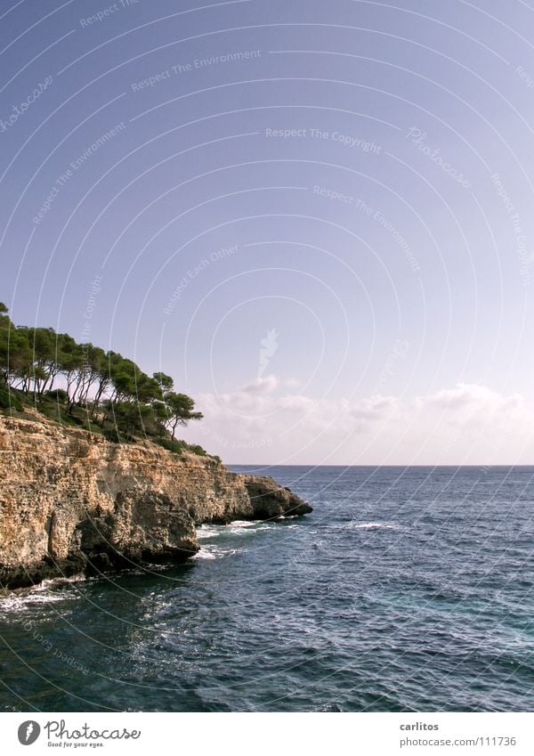 MITTElmeer mal rechts Lust Luft beweglich genießen Meer Wolken Physik Ferien & Urlaub & Reisen türkis Wald Baum See Strand tauchen Algen Gischt Schnorcheln