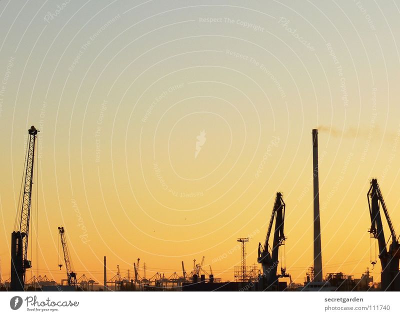 weniger ist mehr Dock Wasserfahrzeug Stadt strahlend Kran Arbeit & Erwerbstätigkeit Arbeiter Physik Herbst Wellen Stahl Panorama (Aussicht) Maschine verladen