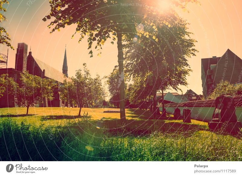 Park mit Sonnenschein Sommer Landschaft Pflanze Himmel Wolken Frühling Baum Gras Kirche Gebäude Architektur leuchten hell grün rot Idylle Religion & Glaube