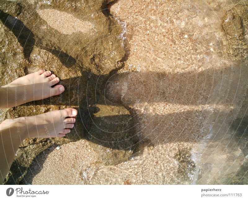 Füße auf einem Felsen Ägypten Strand Meer Wellen Außenaufnahme Küste Fuß Schatten Wasser Stein Freiheit Mensch