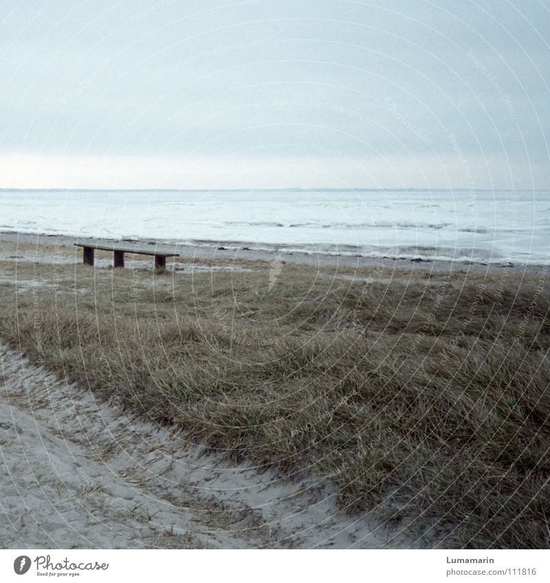 Vergangen Strand Meer Winter Schnee Sand Himmel Horizont Klima Klimawandel Wetter Eis Frost Gras Küste Wege & Pfade frieren kalt blau grau weiß Tod Einsamkeit