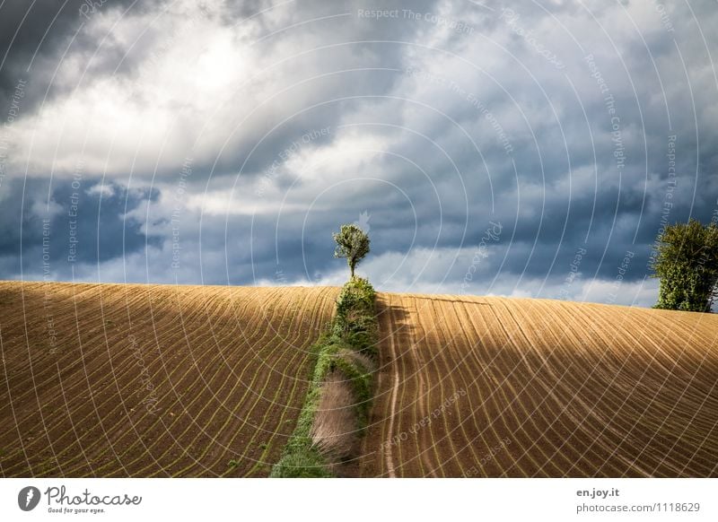 Licht und Schatten Landwirtschaft Forstwirtschaft Natur Landschaft Pflanze Himmel Wolken Gewitterwolken Horizont Sonnenlicht Frühling Sommer Klima