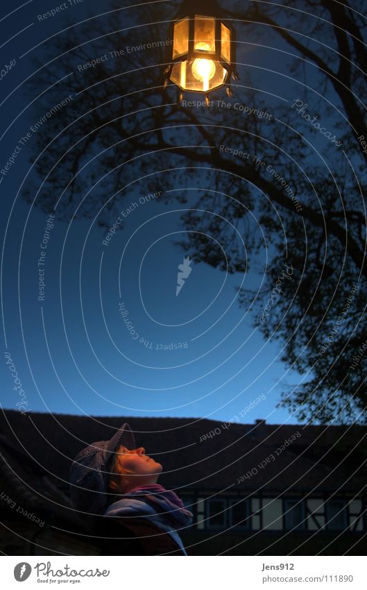 Vesteblick Dämmerung Abend Verlauf Farbverlauf Coburg Fenster Laterne Lampe glühen Lampenschirm Licht HDR schwarz gelb Baum Blatt Schal Konzentration Macht