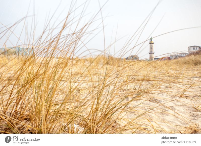 Warnemünde Landschaft Pflanze Sand Wolkenloser Himmel Ostsee Zufriedenheit Vorfreude Warmherzigkeit achtsam ruhig Einsamkeit Warnemünder Teepott Leuchtturm