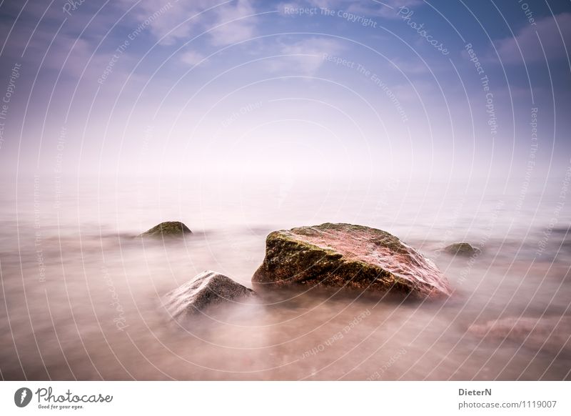 Steine im Nebel Strand Meer Landschaft Wasser Himmel Wolken Wind Küste Ostsee blau violett weiß Heiligendamm Mecklenburg-Vorpommern Farbfoto mehrfarbig