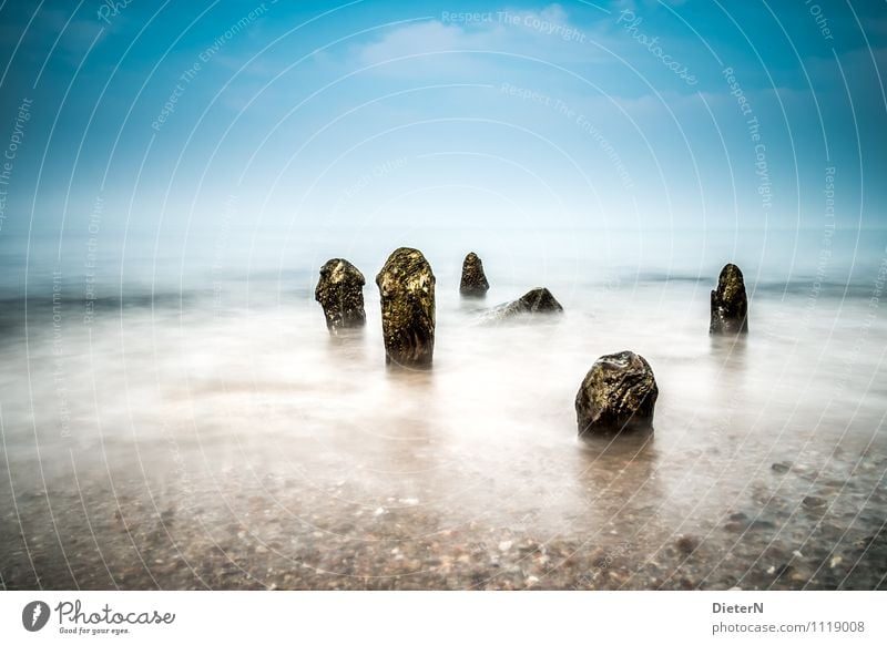 Herausragen Strand Meer Landschaft Sand Wasser Wetter Nebel Küste Ostsee Stein blau braun gelb Buhne Heiligendamm Mecklenburg-Vorpommern Farbfoto Außenaufnahme