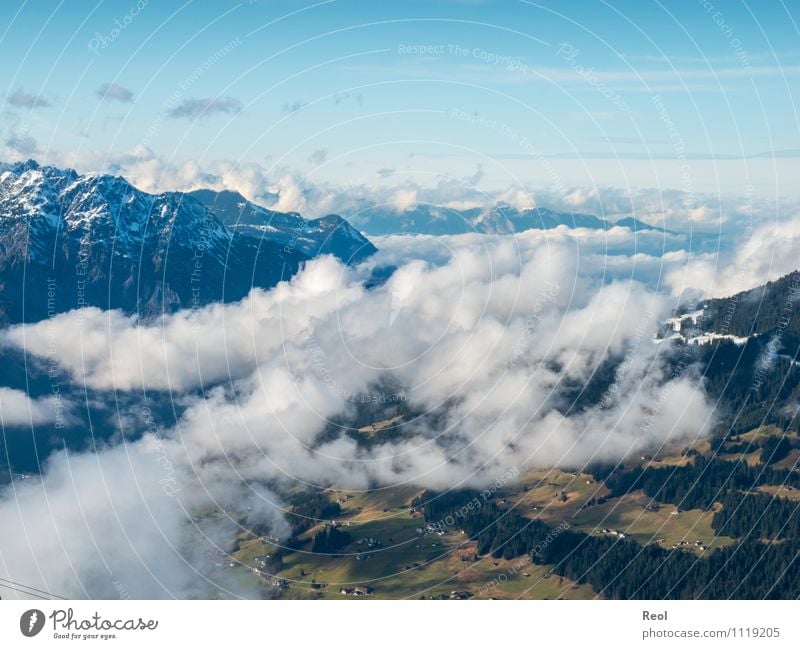 Grünes Tal Umwelt Natur Landschaft Urelemente Frühling Winter Wetter Schönes Wetter Schnee Wald Alpen Berge u. Gebirge Gipfel Schneebedeckte Gipfel