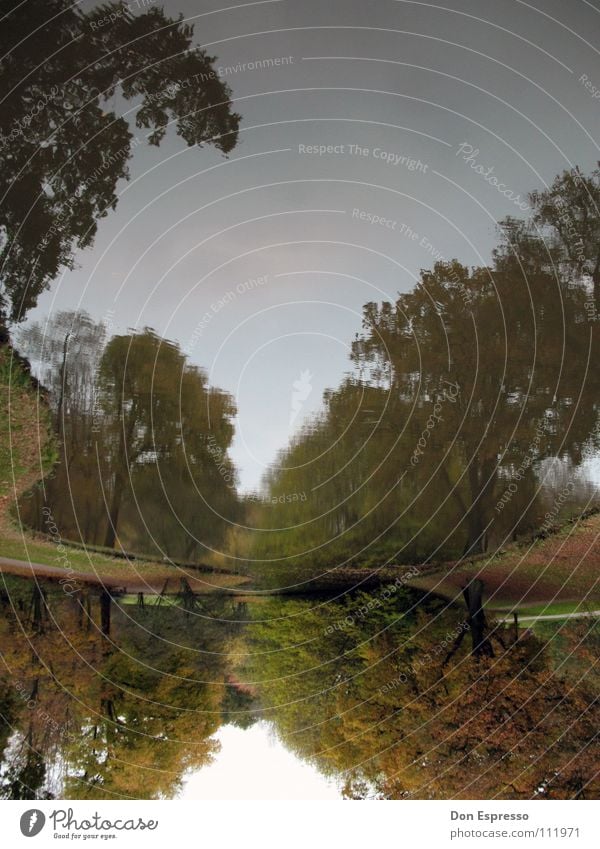 Verkehrte Waldwelt Natur Wasser Himmel Wolken Baum Sträucher Park Teich See grün Idylle Bremen spiegelverkehrt Bürgerpark Reflexion & Spiegelung